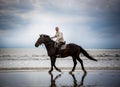 Beach horse rider silhouette Royalty Free Stock Photo