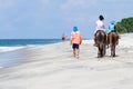 Beach horseback rides