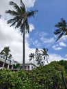 A beach house with palm trees in the foreground. The house is white with a green roof. The palm trees are tall and green Royalty Free Stock Photo