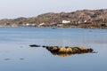 Beach houses, Vegetation and rocks around Clifden bay