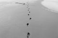 Beach Human Footprints Black White Royalty Free Stock Photo