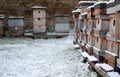 Apiary in the morning covered with snow is on the wooden hives a lot of hives fruit trees apple trees