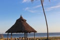 Beach hut of grass roof with a bird at the tip of the roof. Royalty Free Stock Photo