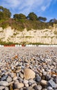 Beach huts, white cliffs and pebbles in Beer, Devon Royalty Free Stock Photo