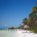 Beach on the Isla Contoy, Mexico Royalty Free Stock Photo