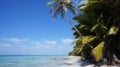 Beach on Isla (isle) Saona in the Dominican Republic