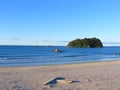 Beach And The Island