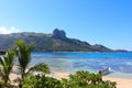 The beach of a tropical island, Fiji Royalty Free Stock Photo