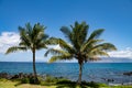 Beach on the Island of Maui, Aloha Hawaii. Royalty Free Stock Photo