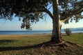 Beach in Itea Royalty Free Stock Photo