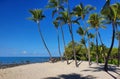 Beach at Kailua-Kona, Hawaii with Palm Trees