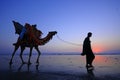 Beach of Karachi Sunset Camel Royalty Free Stock Photo
