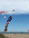 Beach Kites