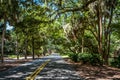 Drive through Beach Lagoon Road street amoung woods and parks of Sea Pines Resort on Hilton Head Island Royalty Free Stock Photo