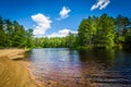 Beach on a lake at Bear Brook State Park, New Hampshire. Royalty Free Stock Photo