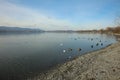 The Beach of Lake Constance at Radolfzell Royalty Free Stock Photo