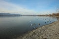 The Beach of Lake Constance at Radolfzell