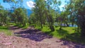 Beach Lake Teletskoe. Altai mountains