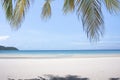 Beach landscape background for summer travel with sun,coconut tree on white sand beach with beautiful blue sea and sky, abstract b Royalty Free Stock Photo
