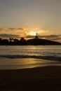 Beach landscape and a bird fly in a sunset Royalty Free Stock Photo