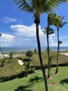 Beach landscape with blue sky, green nature and white clouds