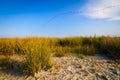 Beach landscape danube delta Royalty Free Stock Photo