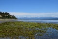 Beach landscape Goose Spit Park, Comox