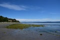 Beach landscape Goose Spit Park, Comox