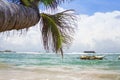 Beach landscape with palm Royalty Free Stock Photo