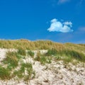 Beach landscape of sand dunes under blue sky copy space on the south western coast of Stavanger, Norway. Closeup of Royalty Free Stock Photo