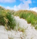 Beach landscape of sand dunes under cloudy blue sky copy space on the west coast of Jutland in Loekken, Denmark. Closeup Royalty Free Stock Photo