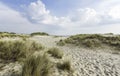 Beach landscape with sand marram grass on Sylt island Royalty Free Stock Photo
