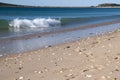 Beach landscape with shells scattered along the beach with waves breaking