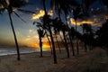 Beach landscape At sunrise Sandy beach sunshine coconut trees tranquil