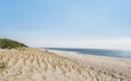 Beach landscape on Sylt island on a sunny day. Marram grass plantation Royalty Free Stock Photo