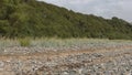 Beach leading off towards woodlands Royalty Free Stock Photo