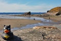 Beach life during COVID19 at Broad Haven, Wales, UK April 2021 Royalty Free Stock Photo