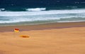 Beach Lifeguard Flag