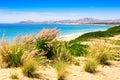 Beach in Los Cabos, Mexico Royalty Free Stock Photo