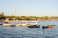 The beach of Los Cobanos Royalty Free Stock Photo