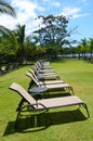 Beach lounge chairs all in a row on grass Royalty Free Stock Photo