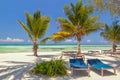 Beach Lounge Chairs under palm tree leaves at the shore of India Royalty Free Stock Photo