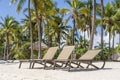 Beach loungers and coconut palm trees on the tropical coast near the sea on the island of Zanzibar, Tanzania, Africa. Travel and Royalty Free Stock Photo