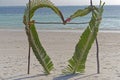 Beach love palm