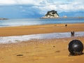 Beach during low tide - Kaiteriteri, New Zealand