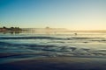 Beach at low tide at sunset, silhouette of birds on the beach, and Morro rock Royalty Free Stock Photo