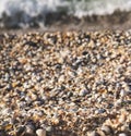 A beach made of shells on a blurred bokeh background of the sea surf of the Black Sea coast Royalty Free Stock Photo