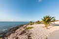 The beach in Mahahual, Mexico