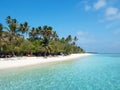 Beach on Maldives on Meeru Island with Palm Trees Royalty Free Stock Photo