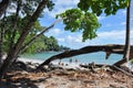 Beach at Manuel Antonio National Park, Costa Rica Royalty Free Stock Photo